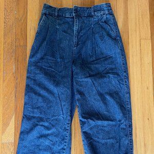 Madewell Pleated Wide Legged High Waist Jeans